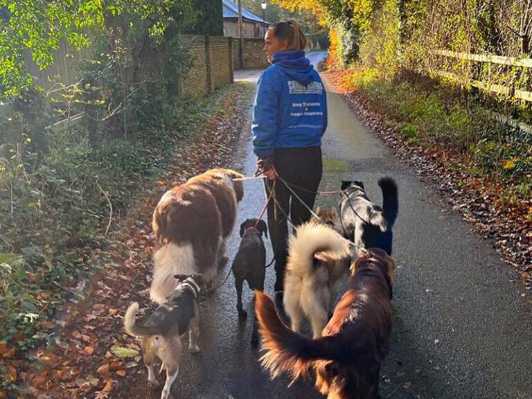 Canine Karma The Dog Behaviour Experts Complete Dog Care